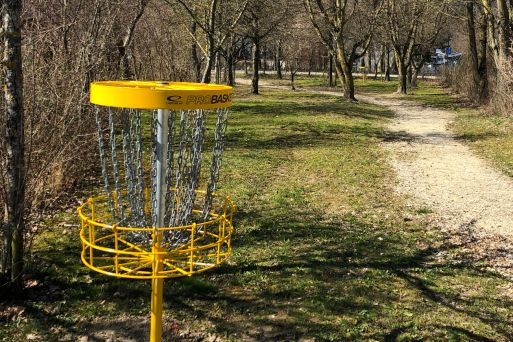 Disc Golf