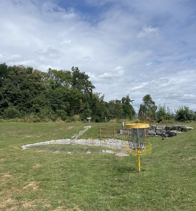 Disc Golf